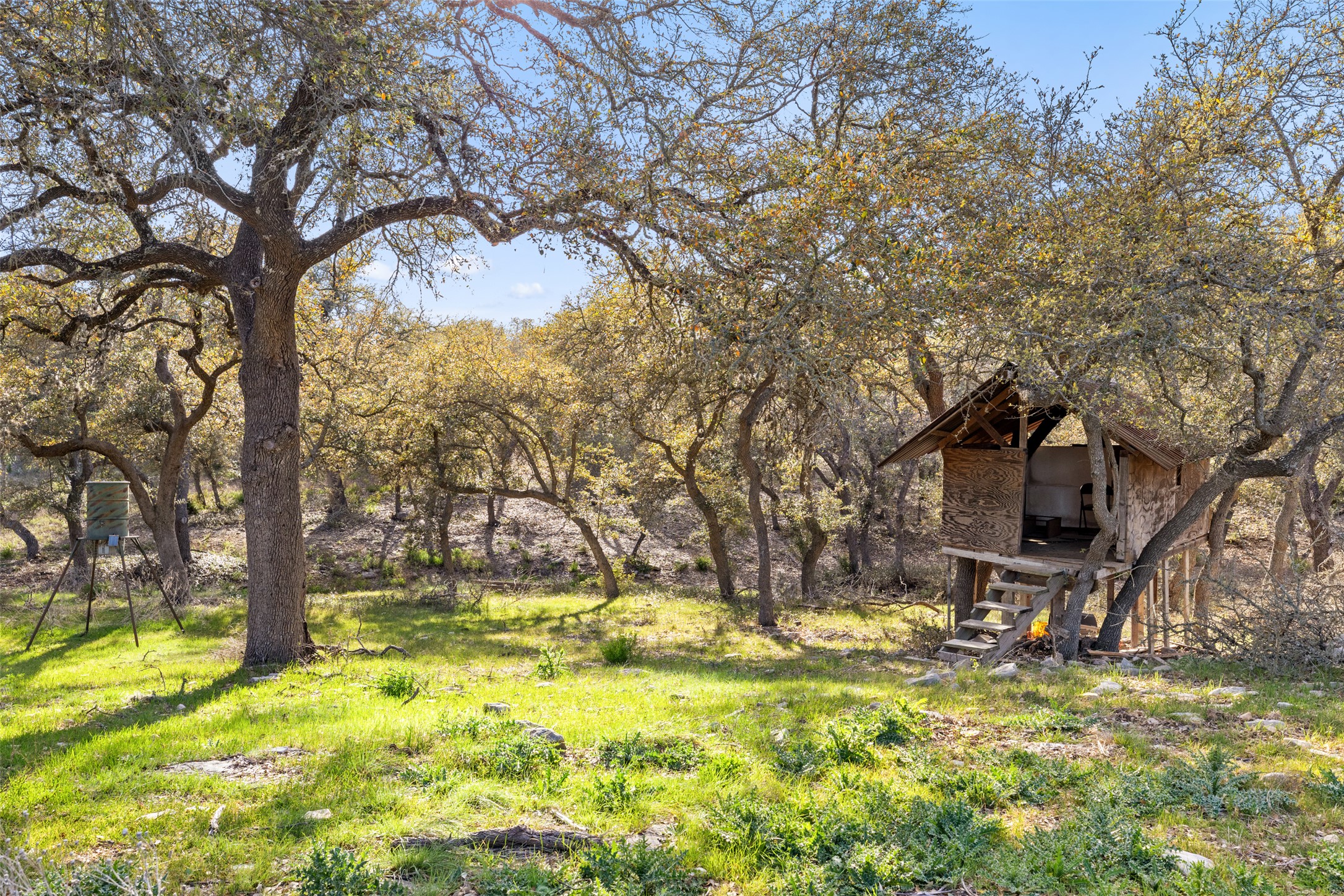 118 Landons Way Blanco, TX 78606 - Photo 29 of 32 a view of a yard with a tree