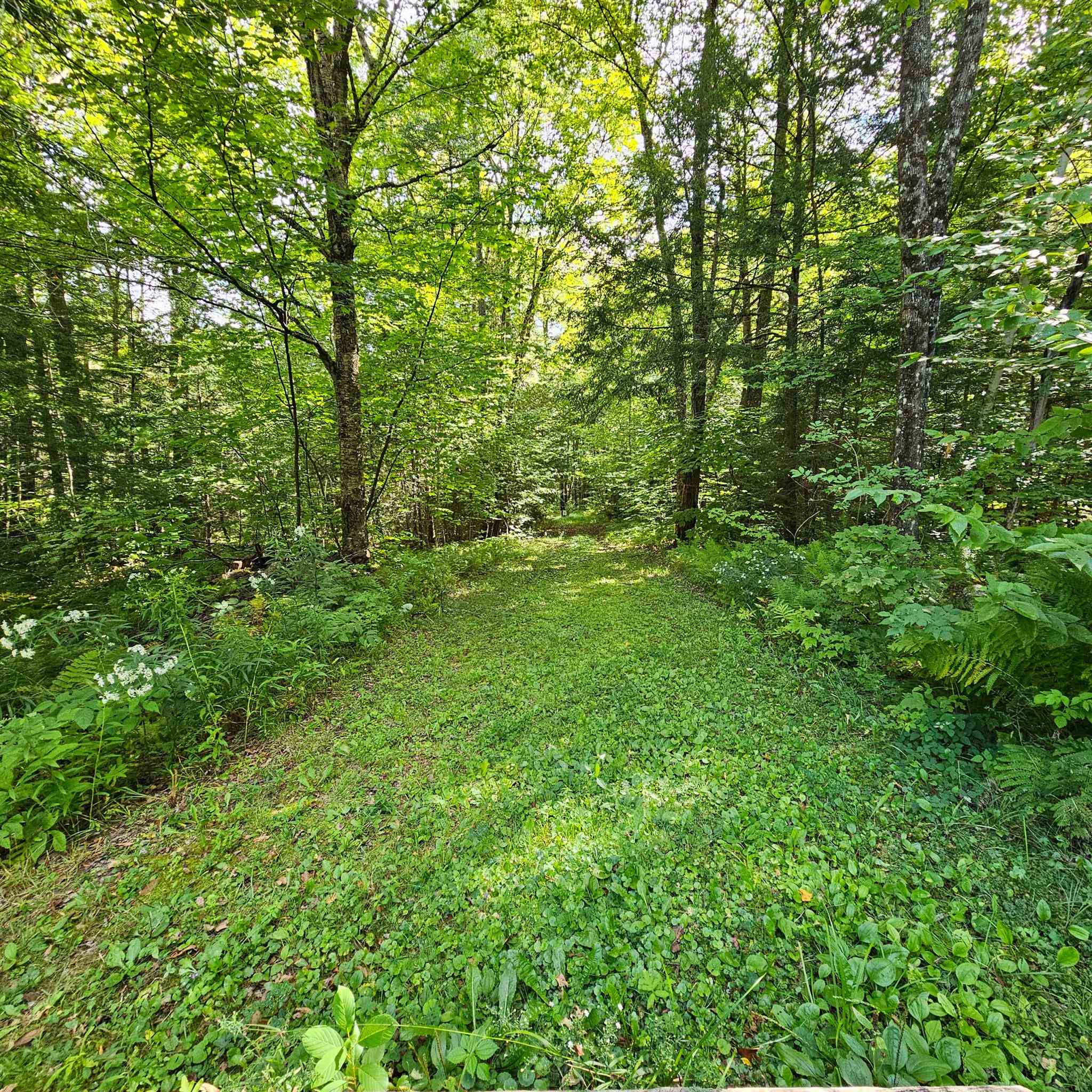 1175 Quarry Road Chester, VT 05143 - Photo 8 of 20