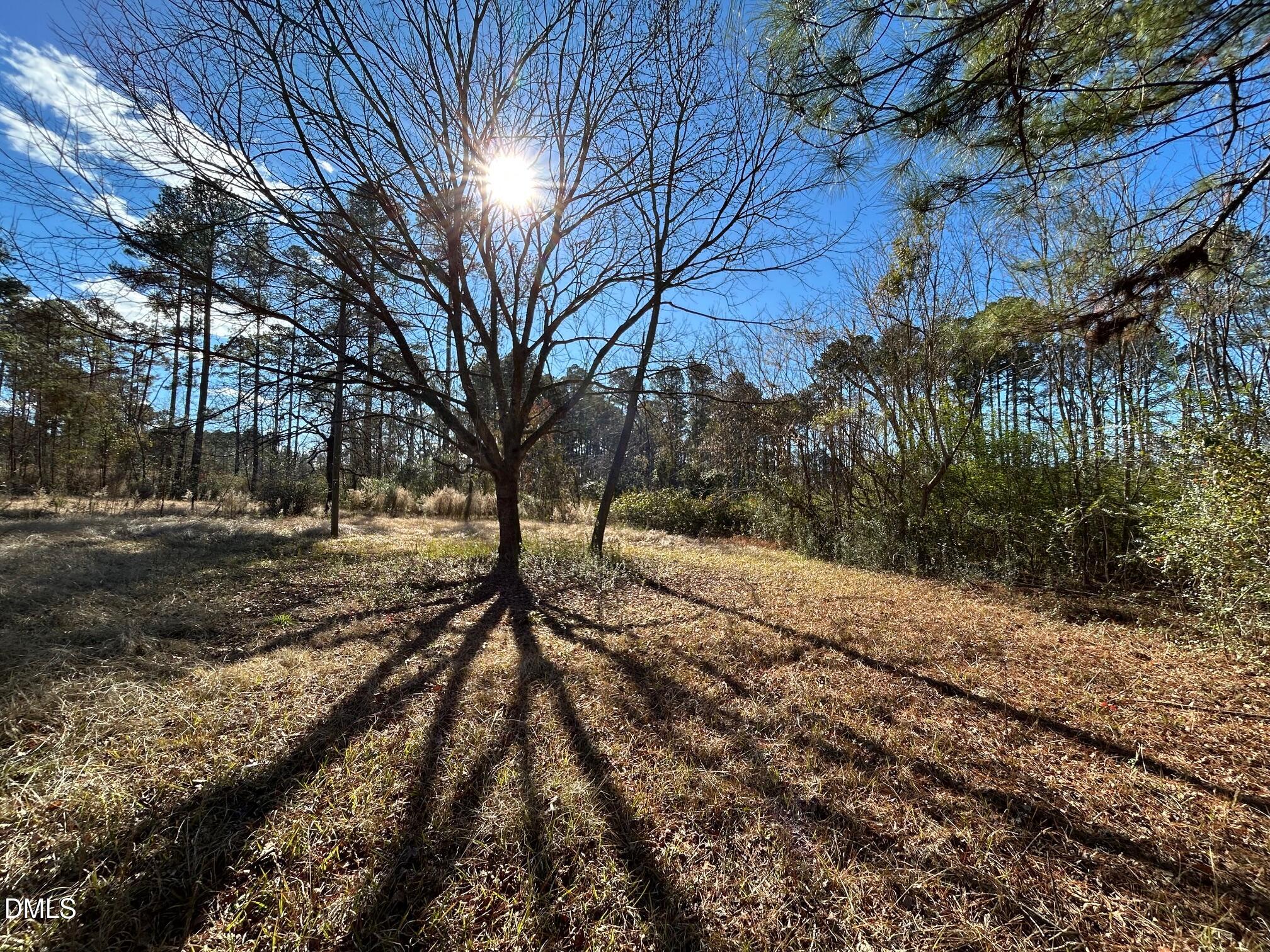 a view of outdoor space with yard