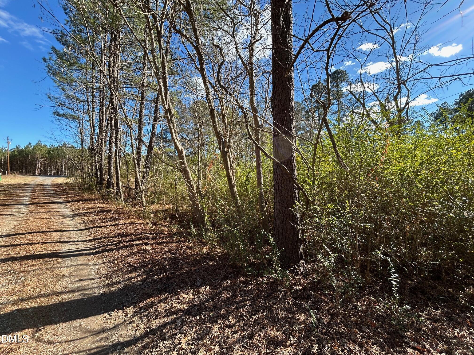 523 New Elam Church Road New Hill, NC 27562 - Photo 2 of 8 a view of park on side of street