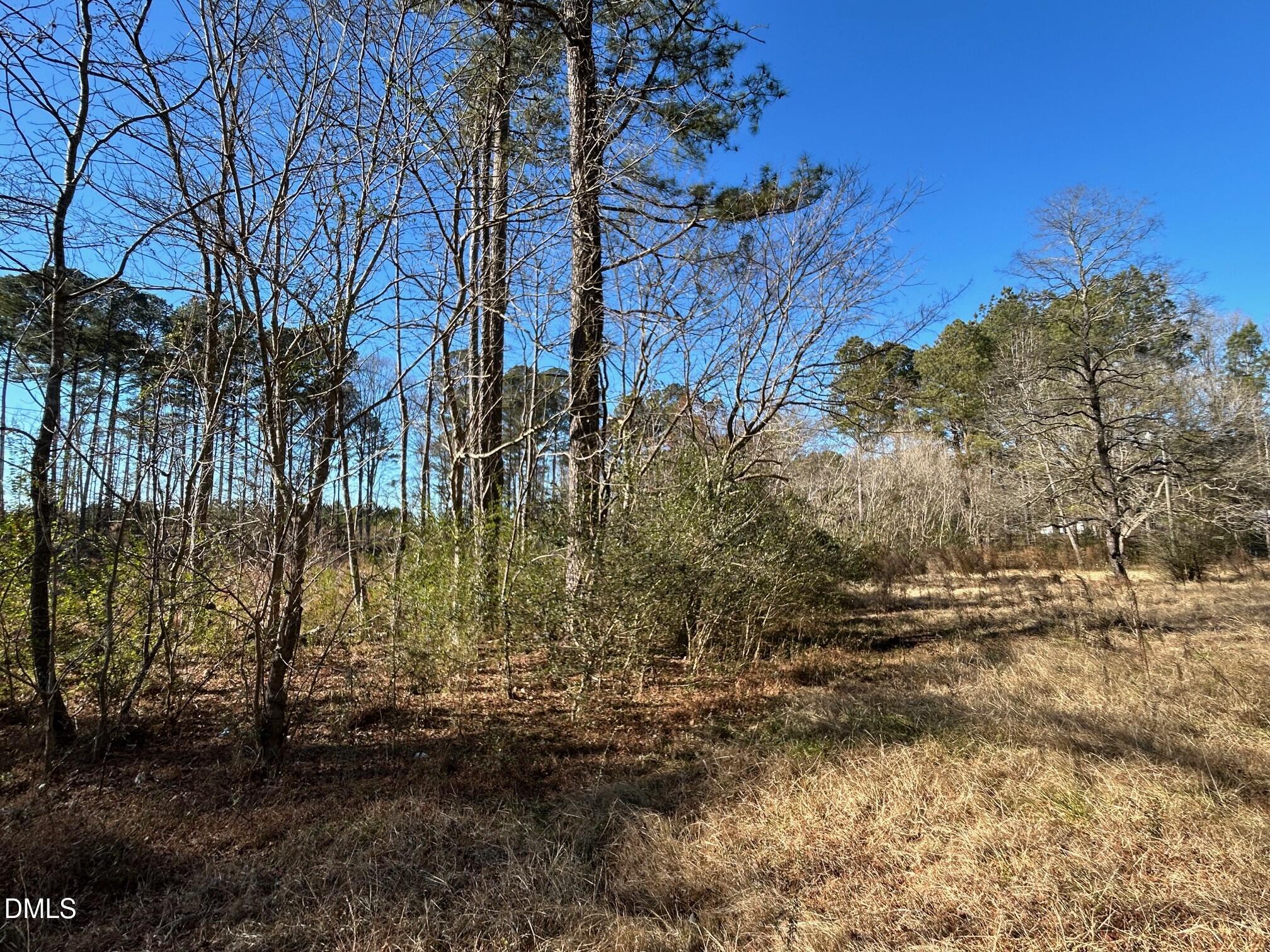 523 New Elam Church Road New Hill, NC 27562 - Photo 5 of 8 a view of backyard of a house