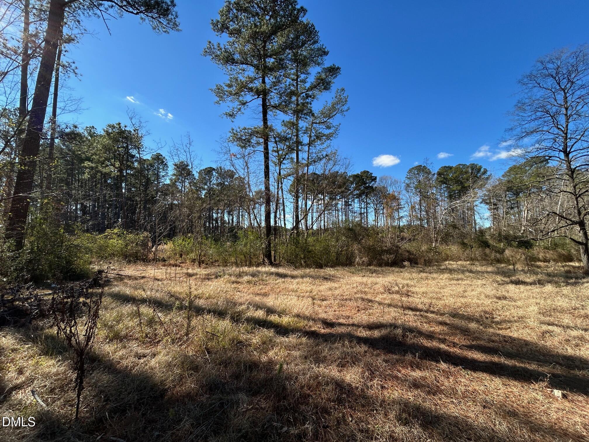 523 New Elam Church Road New Hill, NC 27562 - Photo 6 of 8 a view of a yard with a tree