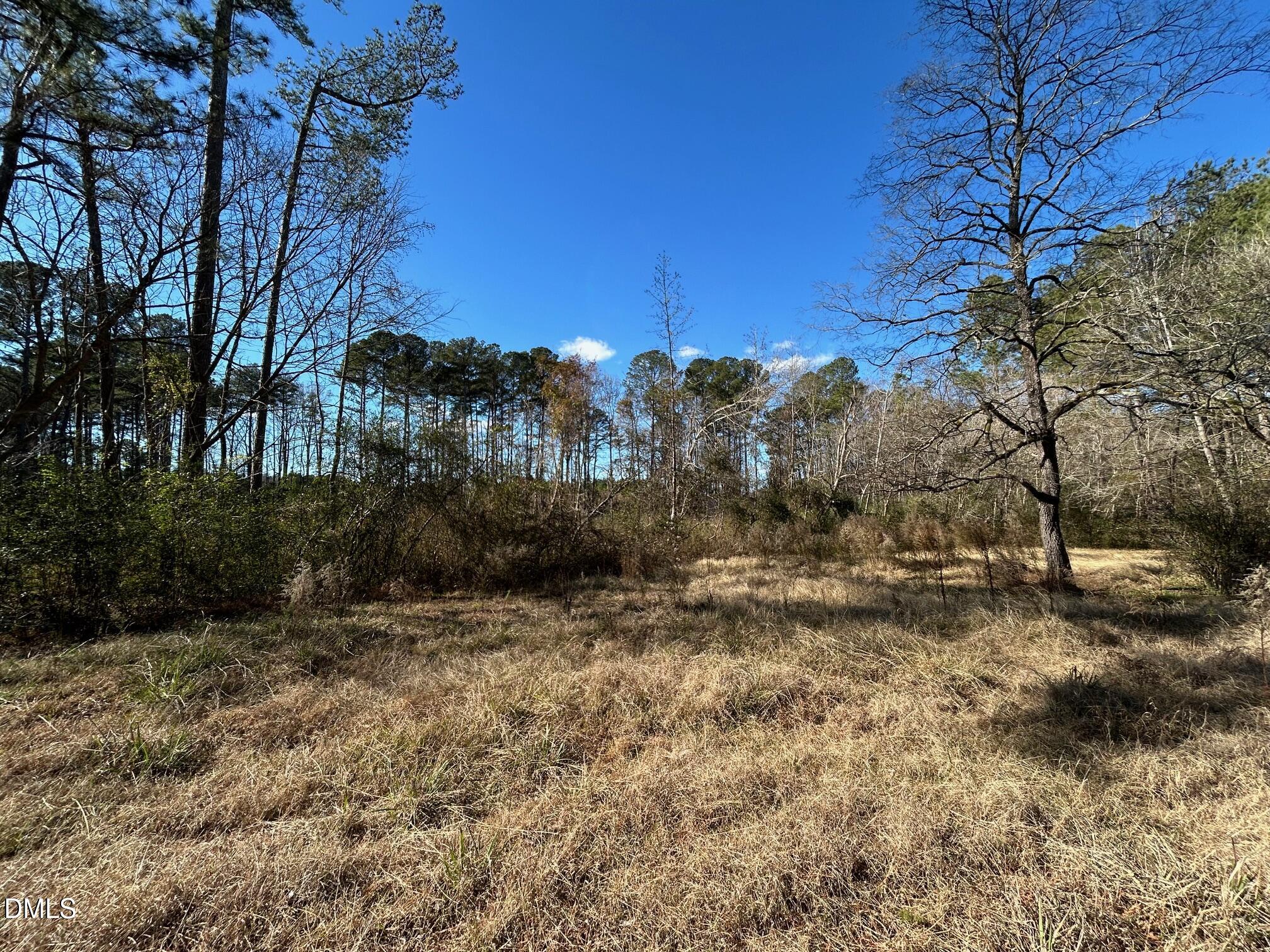 523 New Elam Church Road New Hill, NC 27562 - Photo 7 of 8 a view of a yard