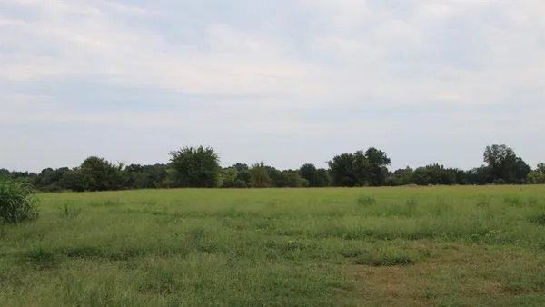 a view of grassy field with trees
