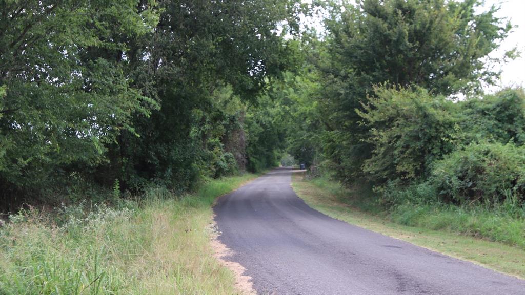 3425 Rs County Road 3425 Emory, TX 75440 - Photo 5 of 6 a view of a pathway both side of yard