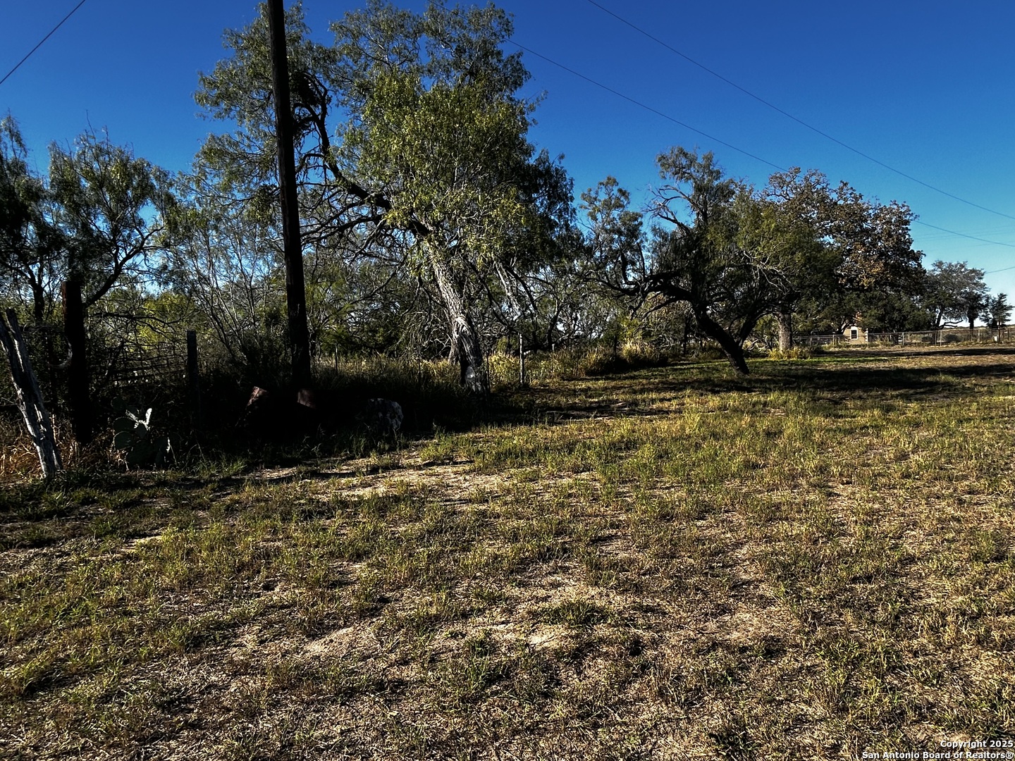 Tbd County Road 777 Devine, TX 78016 - Photo 2 of 4 a view of a yard