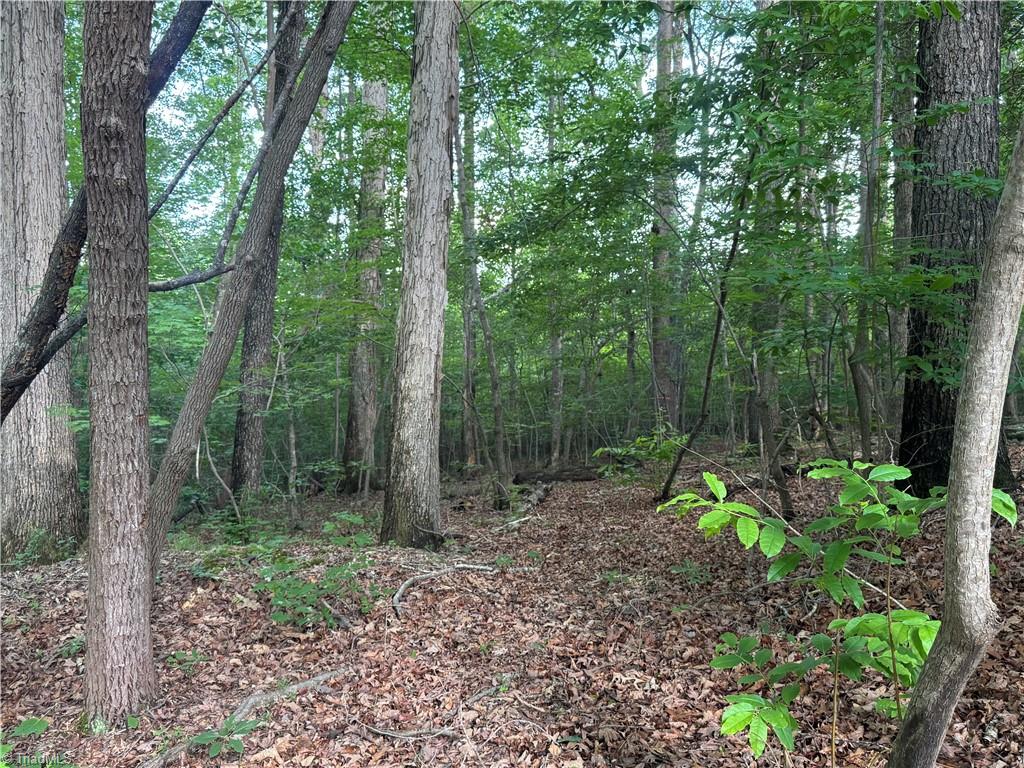 2 Dover Church Road Seagrove, NC 27341 - Photo 2 of 3