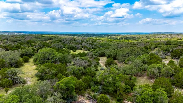 a view of a big yard with lots of palm trees