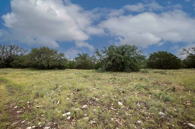 a view of a field of grass and trees
