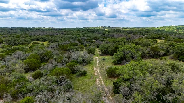 a view of a lots of trees and bushes