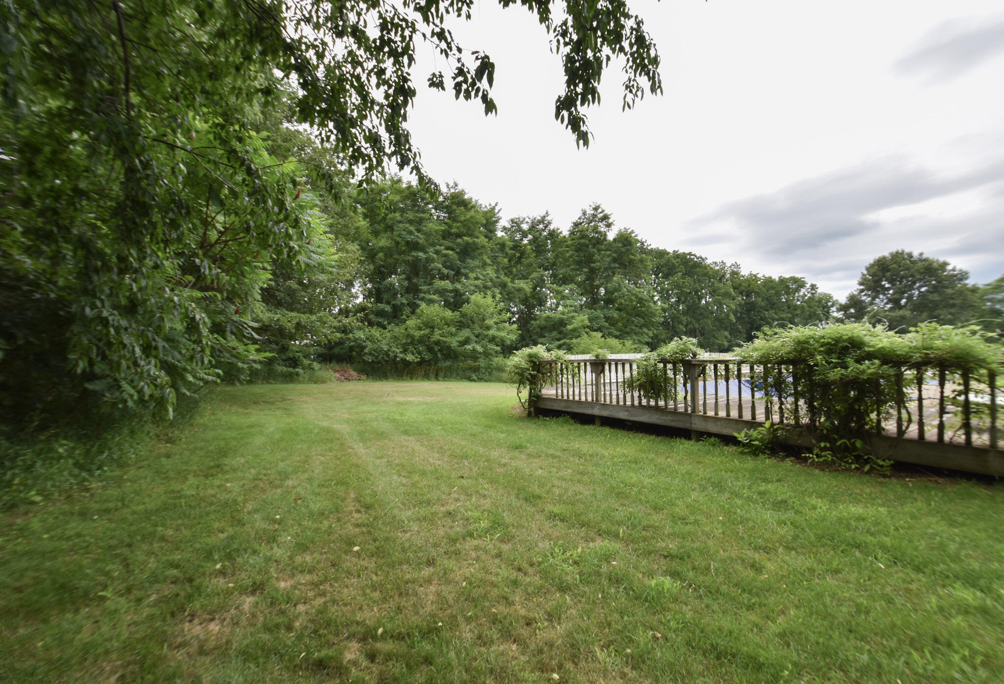 1161 Robinson Road Quincy, MI 49082 - Photo 35 of 35 DSC_0093 (1)