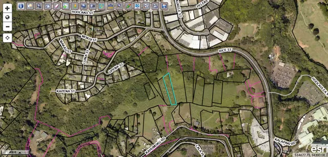 a view of a door with a tree