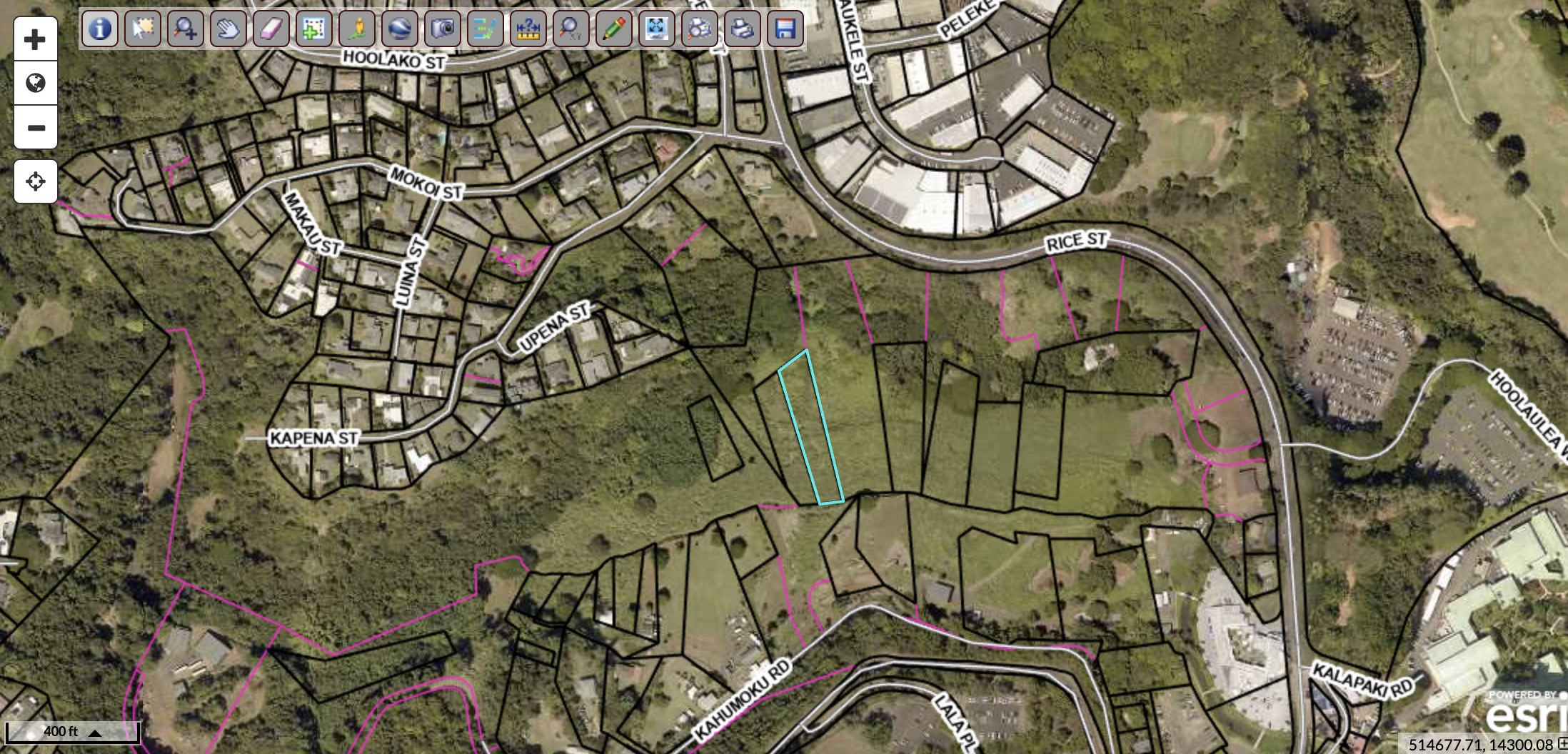 a view of a door with a tree