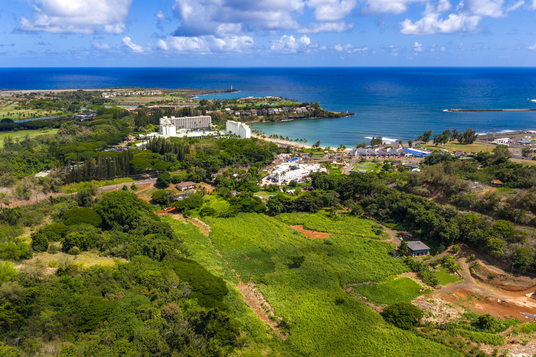 Rice Street Lihue, HI 96766 - Photo 3 of 4 a view of a city