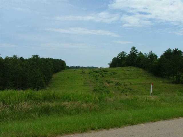 0 Davids Home Church Road Comer, GA 30633 - Photo 1 of 1 a view of a big yard with plants and a large tree