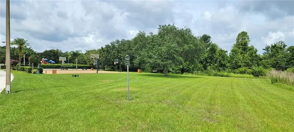 a view of a park with large trees