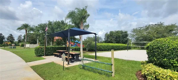 a view of a park with palm trees