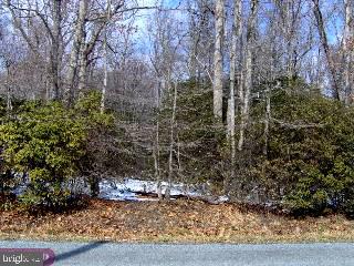 Lot 4 Buffalo Road Frederica, DE 19962 - Photo 1 of 1 Gallery Image 1