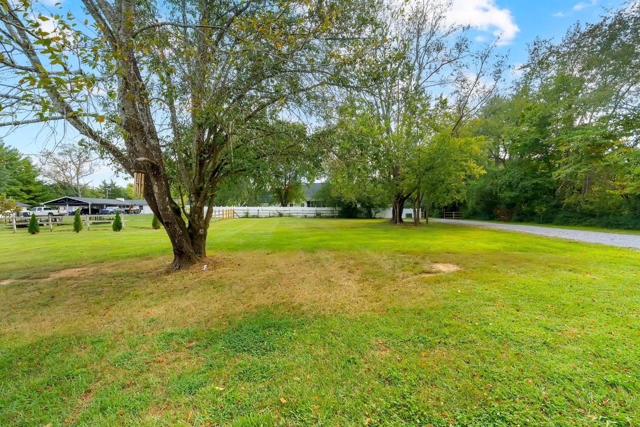 194 Volunteer Road Murfreesboro, TN 37128 - Photo 10 of 87