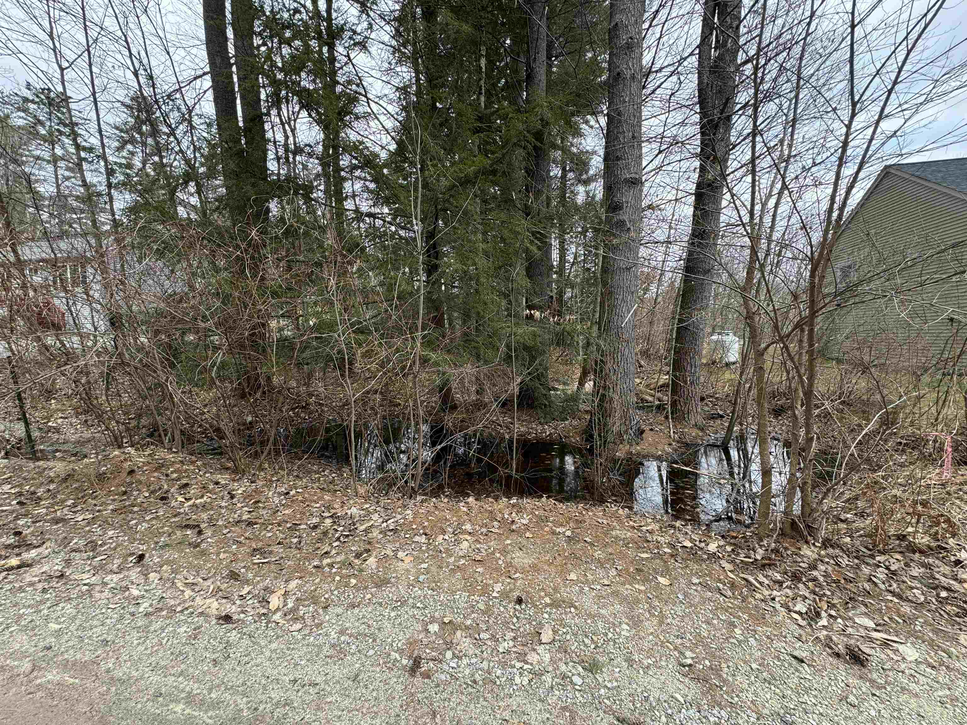 23 Winter Road Hillsborough, NH 03244 - Photo 2 of 4