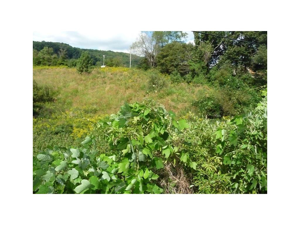Lot 4 Daniel Boone Road, Unit 4 Gate City, VA 24251 - Photo 3 of 4 Photo 3