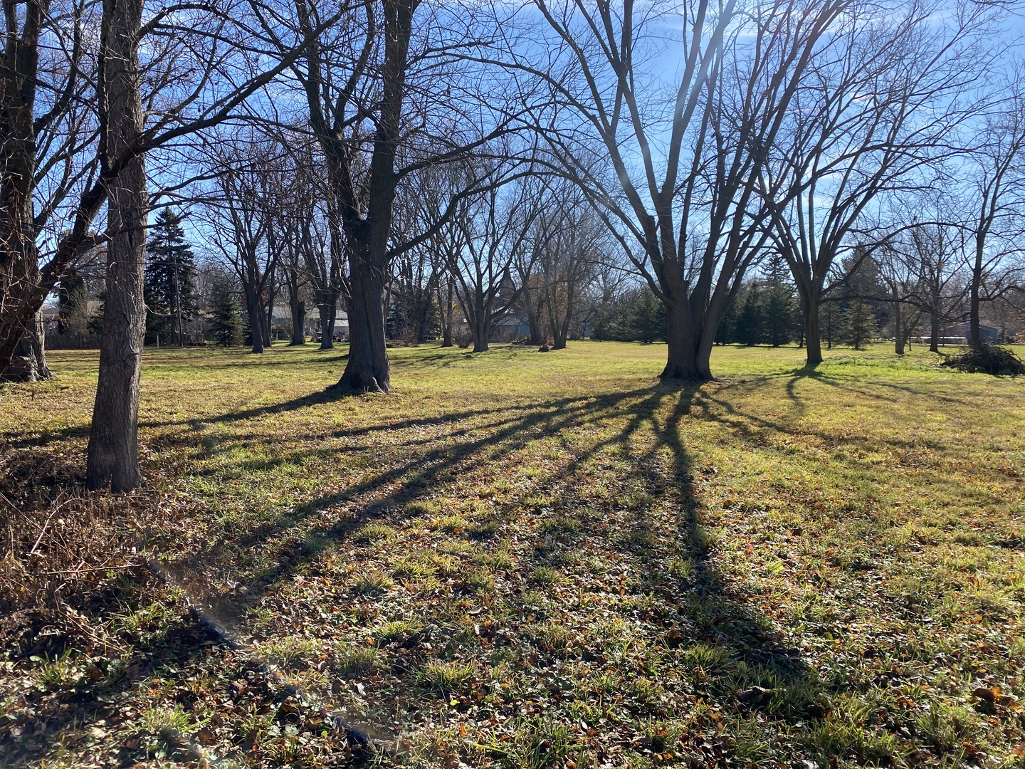 Lot 1 Church Street Sharon, WI 53585 - Photo 13 of 17