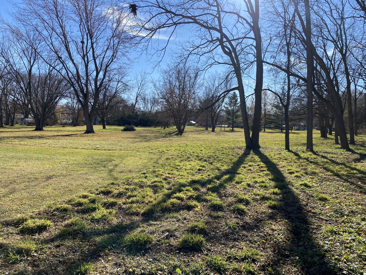 Lot 1 Church Street Sharon, WI 53585 - Photo 6 of 17