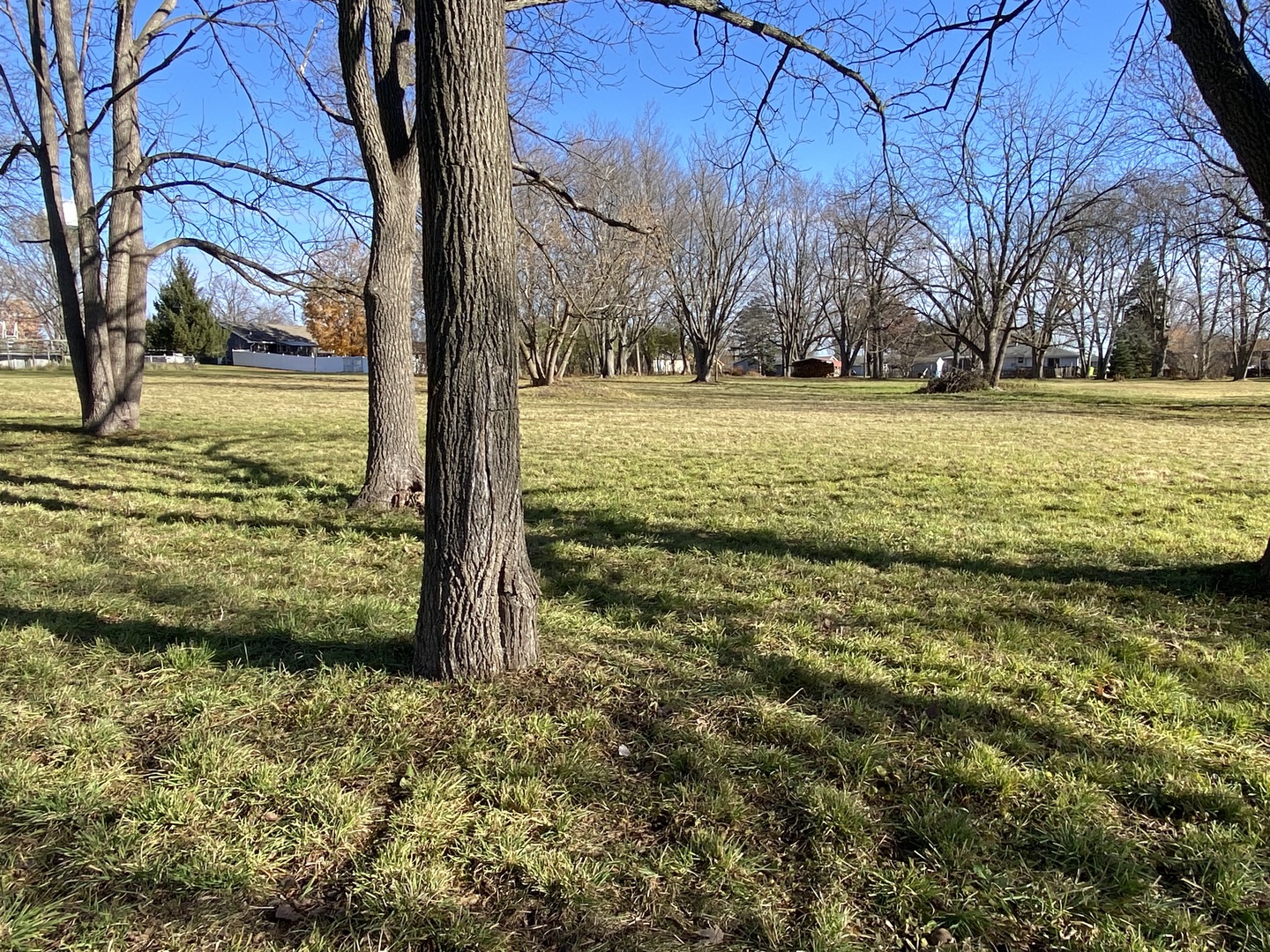 Lot 1 Church Street Sharon, WI 53585 - Photo 7 of 17