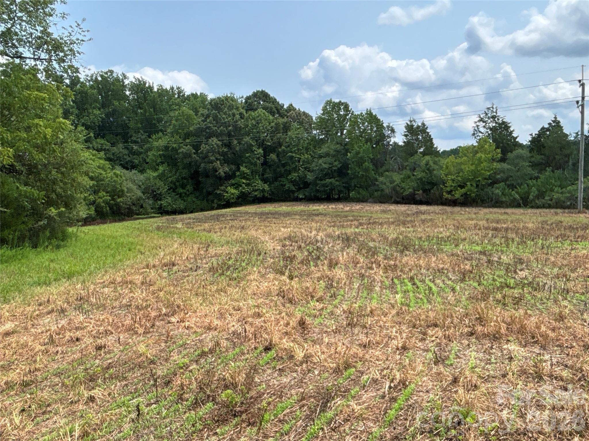 0 Cherryville Road Cherryville, NC 28021 - Photo 8 of 17 Gallery Image 8