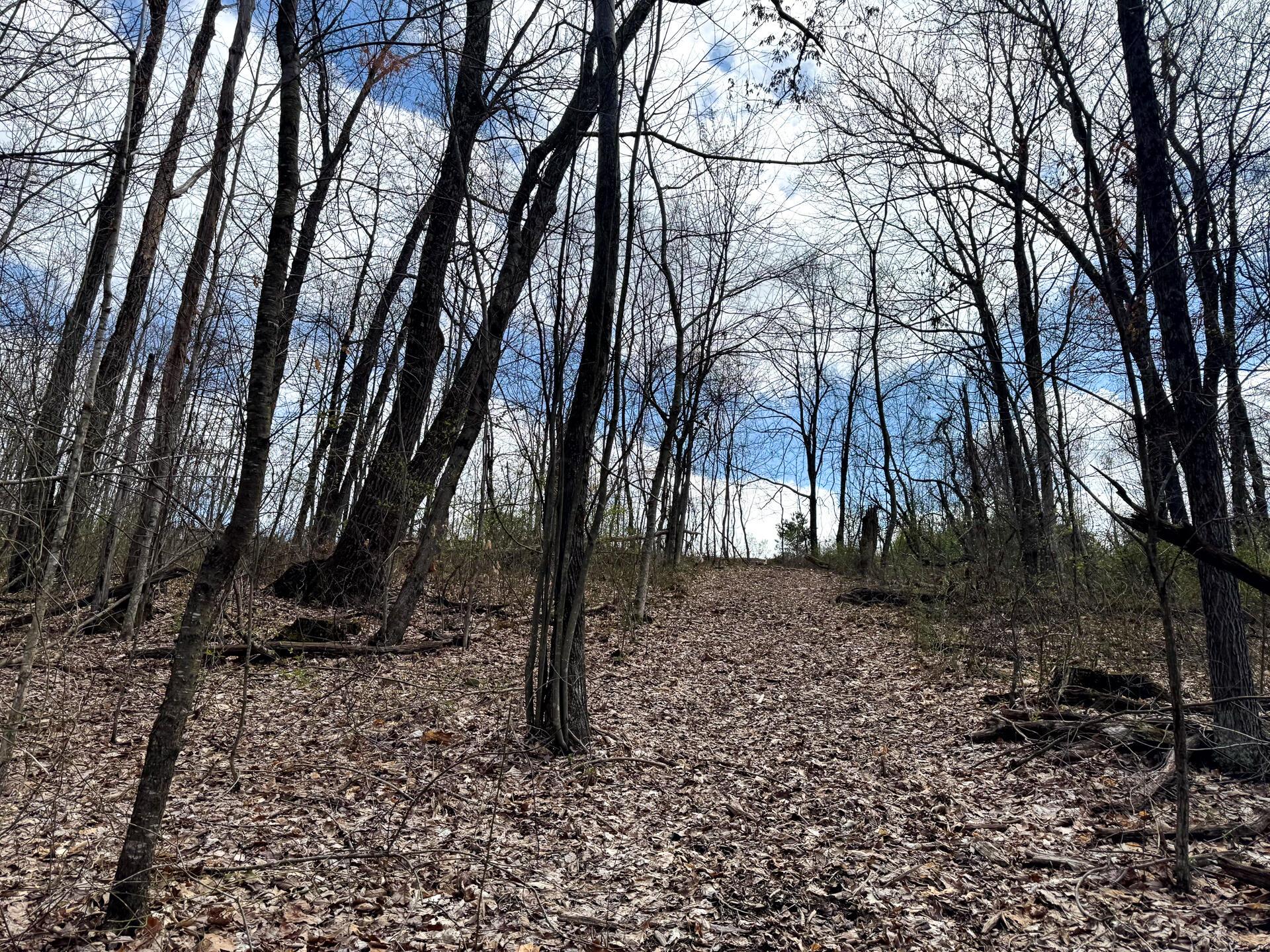 266 Golf Course Road, Unit TRACT 9 SKYLINE ACRES) Waverly, OH 45690 - Photo 15 of 39 CT-15