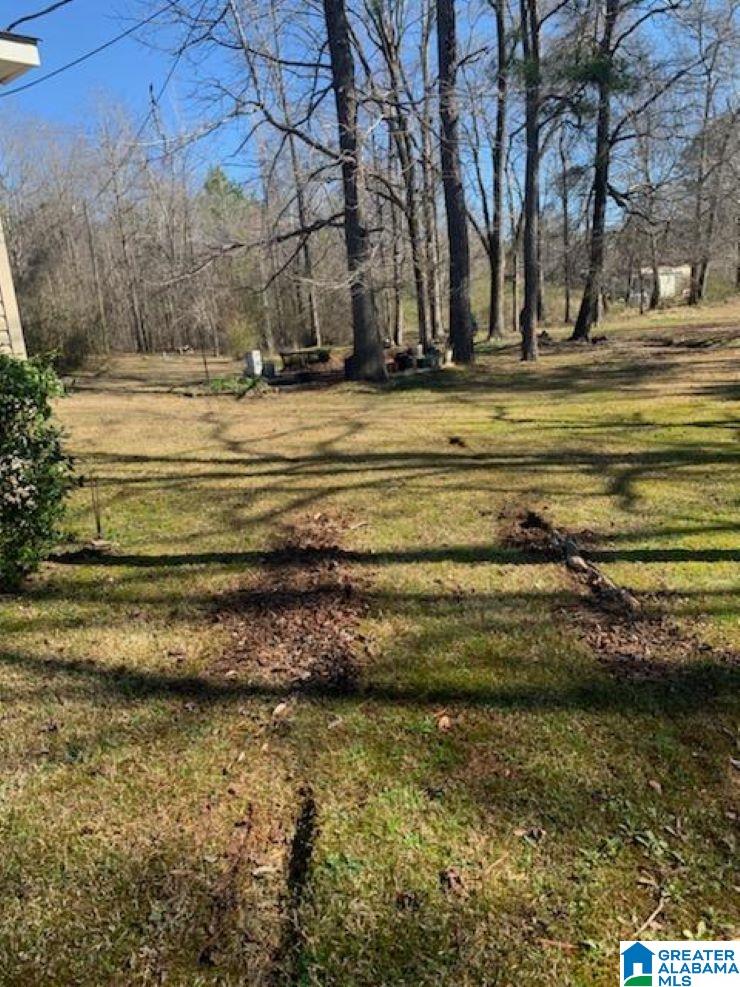 2532 Odens Mill Road Sylacauga, AL 35151 - Photo 14 of 18
