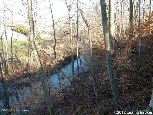 9485 Mt Eden Road Waddy, KY 40076 - Photo 3 of 5 Creek