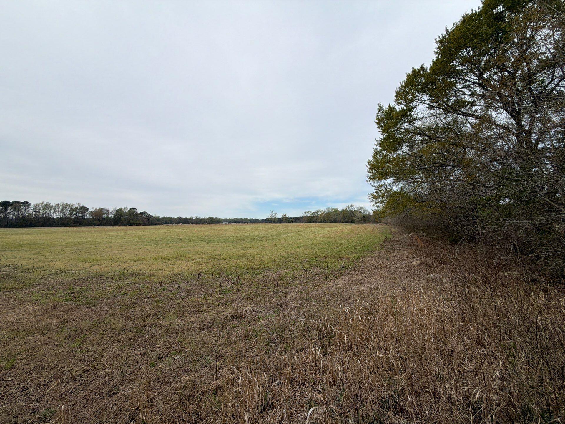 1 Judson Road, Unit MTA 1 Dillon, SC 29536 - Photo 23 of 28