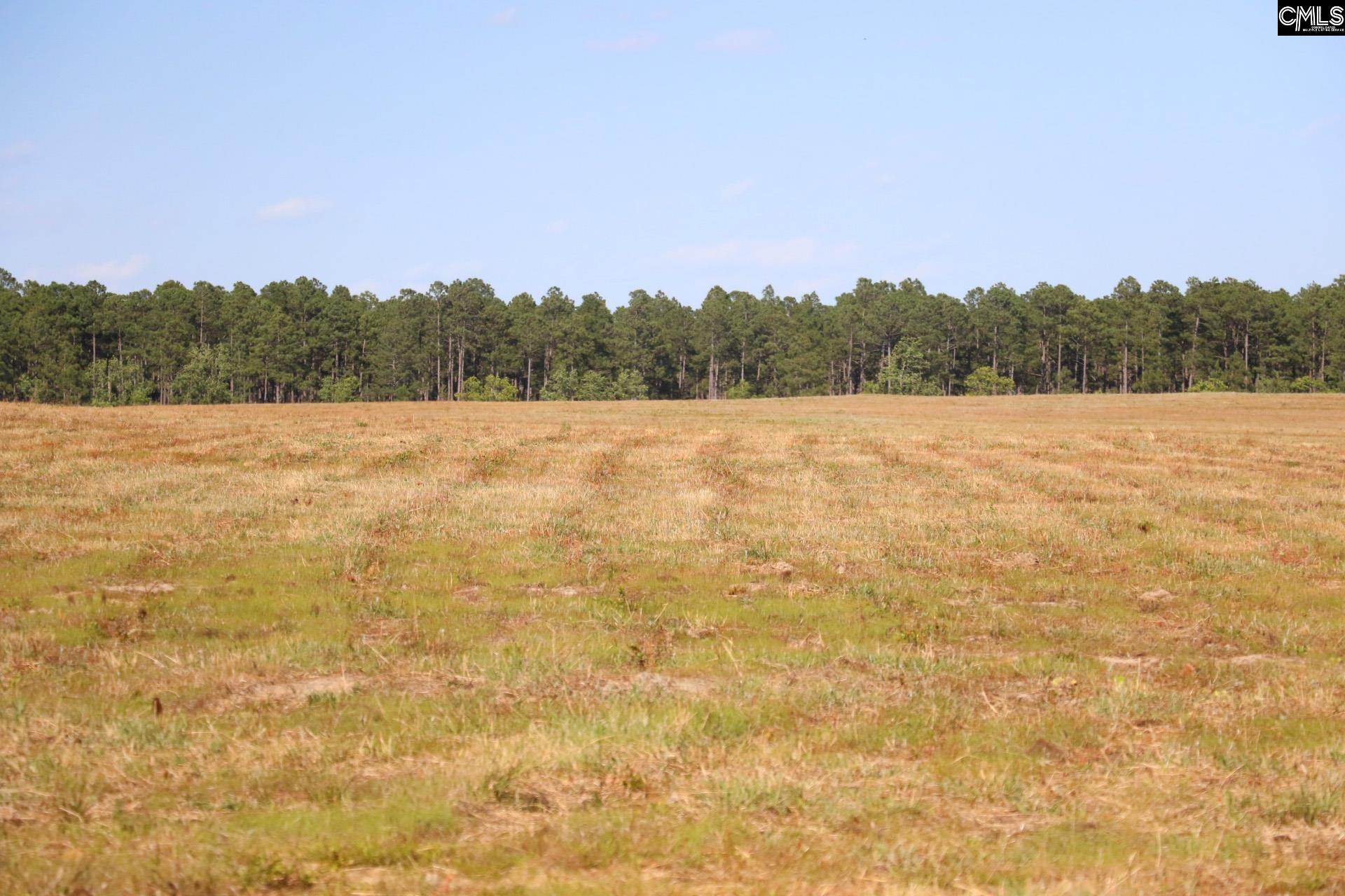 Tbd Browns Pond Road Wagener, SC 29164 - Photo 12 of 48