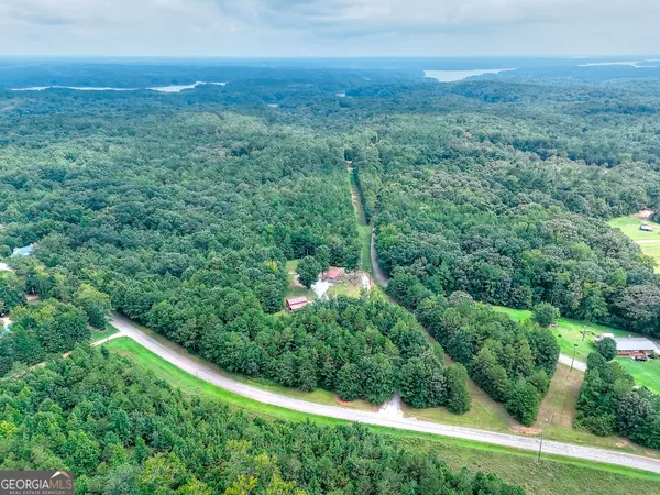 a view of a green field with lots of bushes