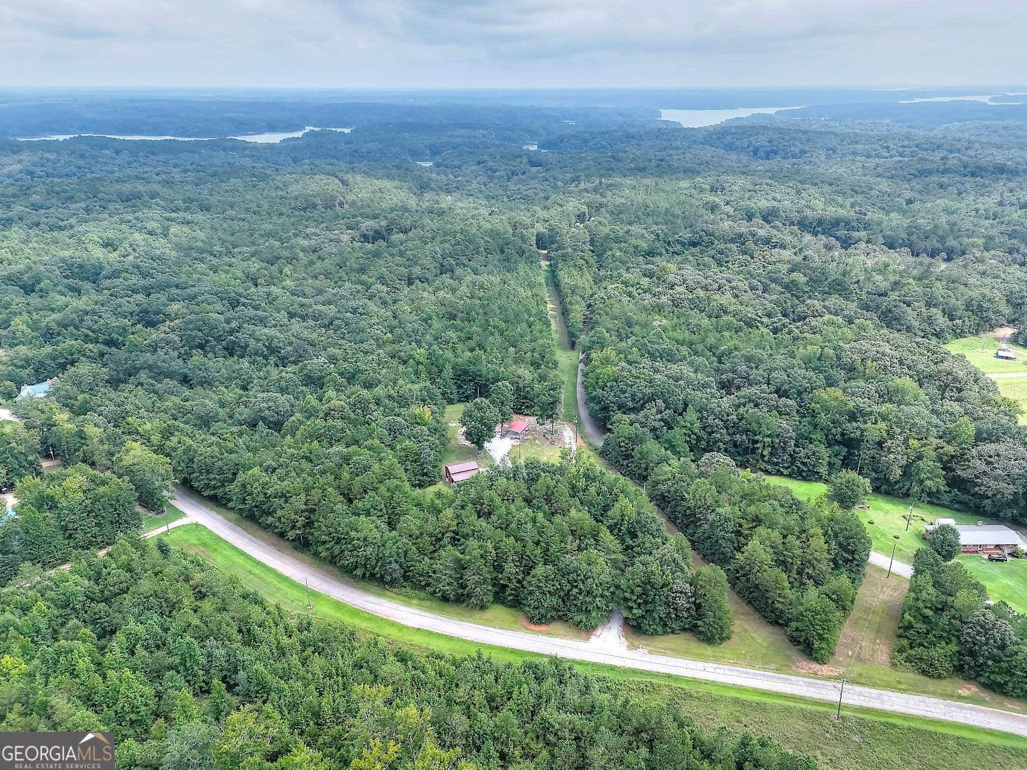 0 Pickens Point Drive Elberton, GA 30635 - Photo 12 of 17 a view of a green field with lots of bushes