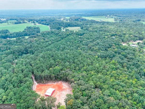 a view of a big yard with large trees