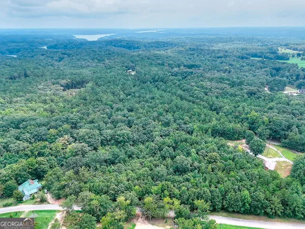 an aerial view of residential houses with outdoor space and trees