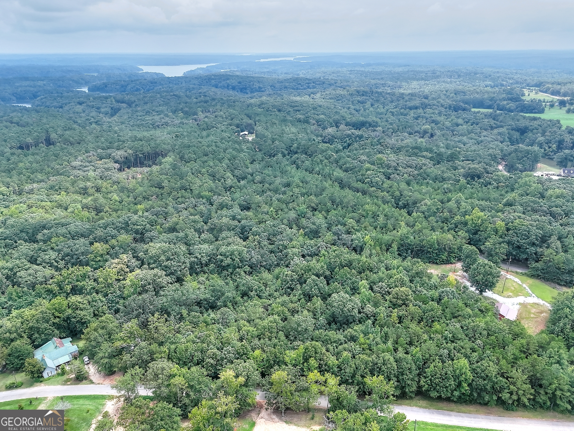 0 Pickens Point Drive Elberton, GA 30635 - Photo 14 of 17 an aerial view of residential houses with outdoor space and trees