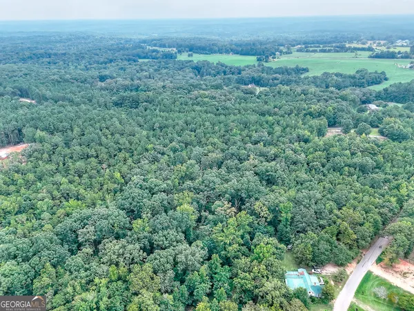 a view of a lush green forest with trees and some houses