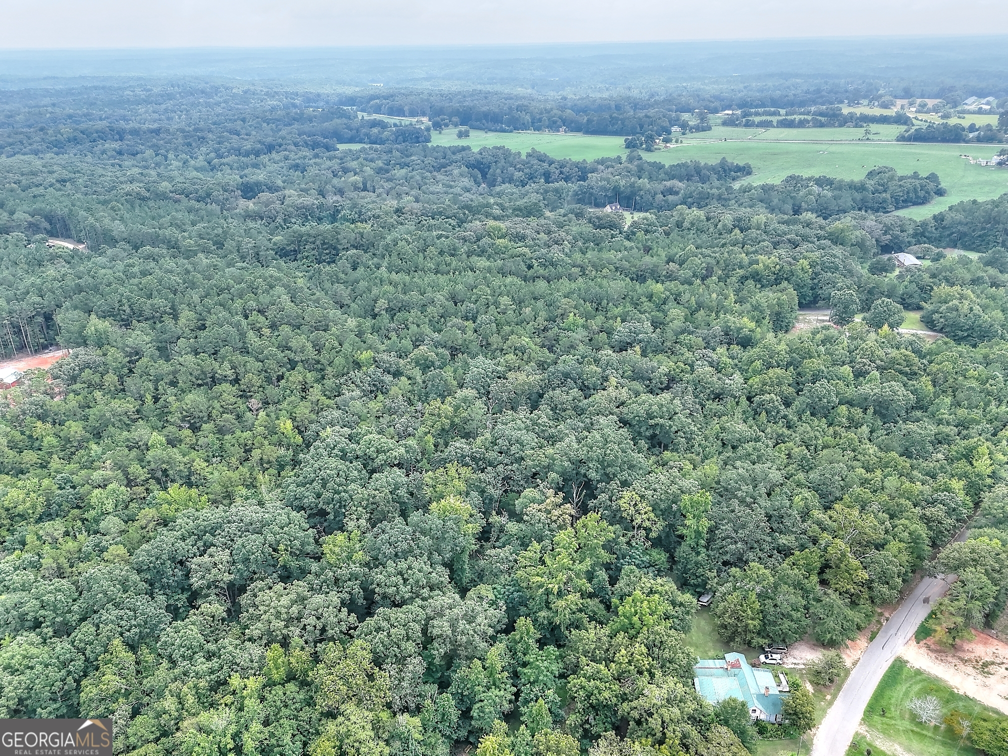 0 Pickens Point Drive Elberton, GA 30635 - Photo 15 of 17 a view of a lush green forest with trees and some houses