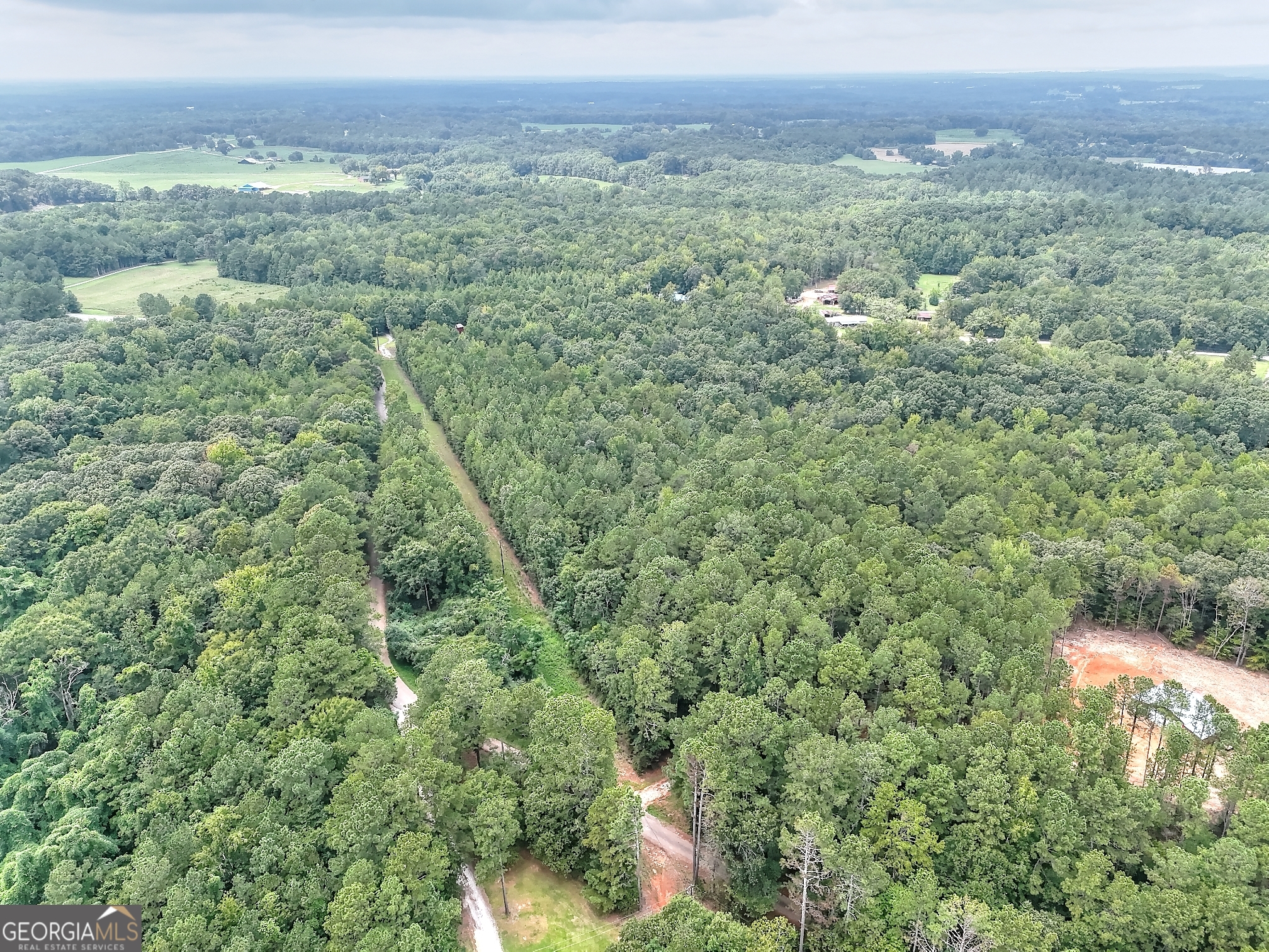 0 Pickens Point Drive Elberton, GA 30635 - Photo 10 of 17 a view of a lush green forest with trees in the background