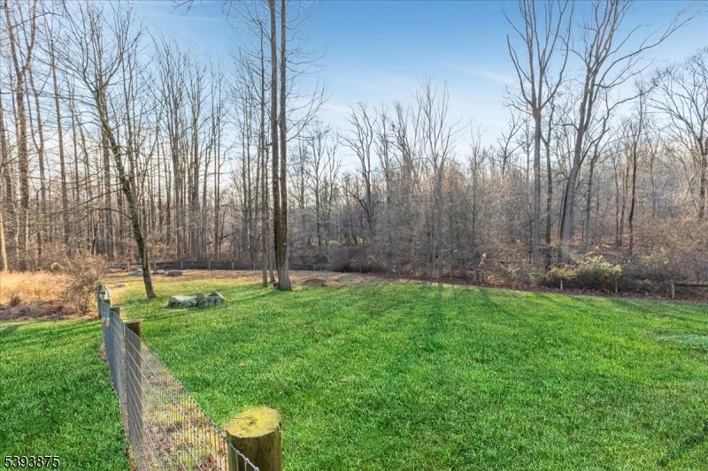71 Sliker Road Glen Gardner, NJ 08826 - Photo 38 of 50 a view of a backyard with large trees