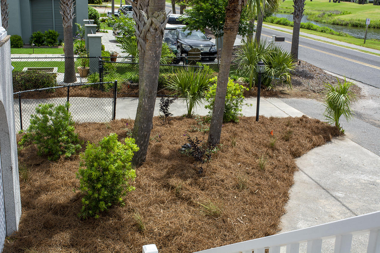 3746 Docksite Road Edisto Beach, SC 29438 - Photo 59 of 61 _DSC0240