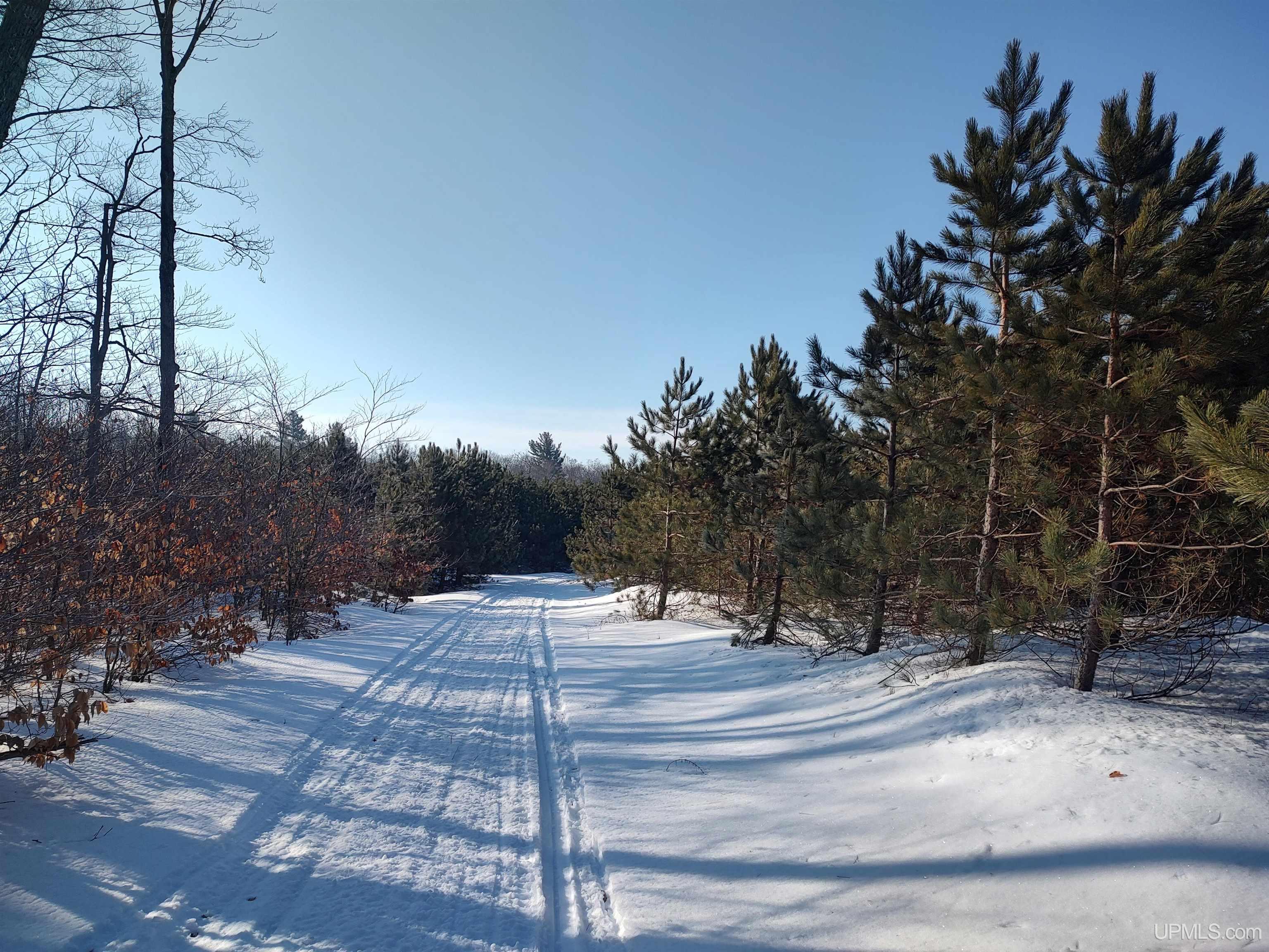 40-acres Gierke Road Manistique, MI 49854 - Photo 15 of 39