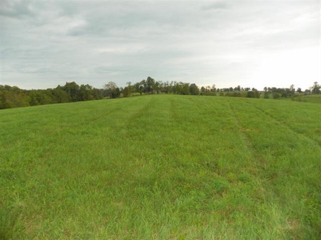 232 Dusty Road Sharpsburg, KY 40374 - Photo 13 of 43 Photo 13