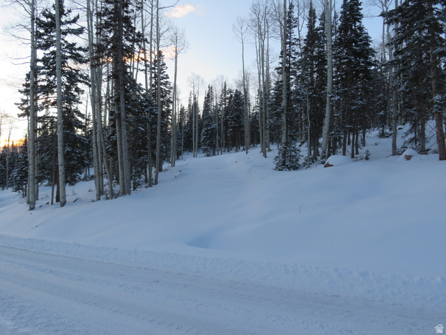 6 Tushar Mountain Estates, Unit 6 Beaver, UT 84713 - Photo 13 of 16 Snow-covered terrain featuring a dense forest of evergreen and deciduous trees