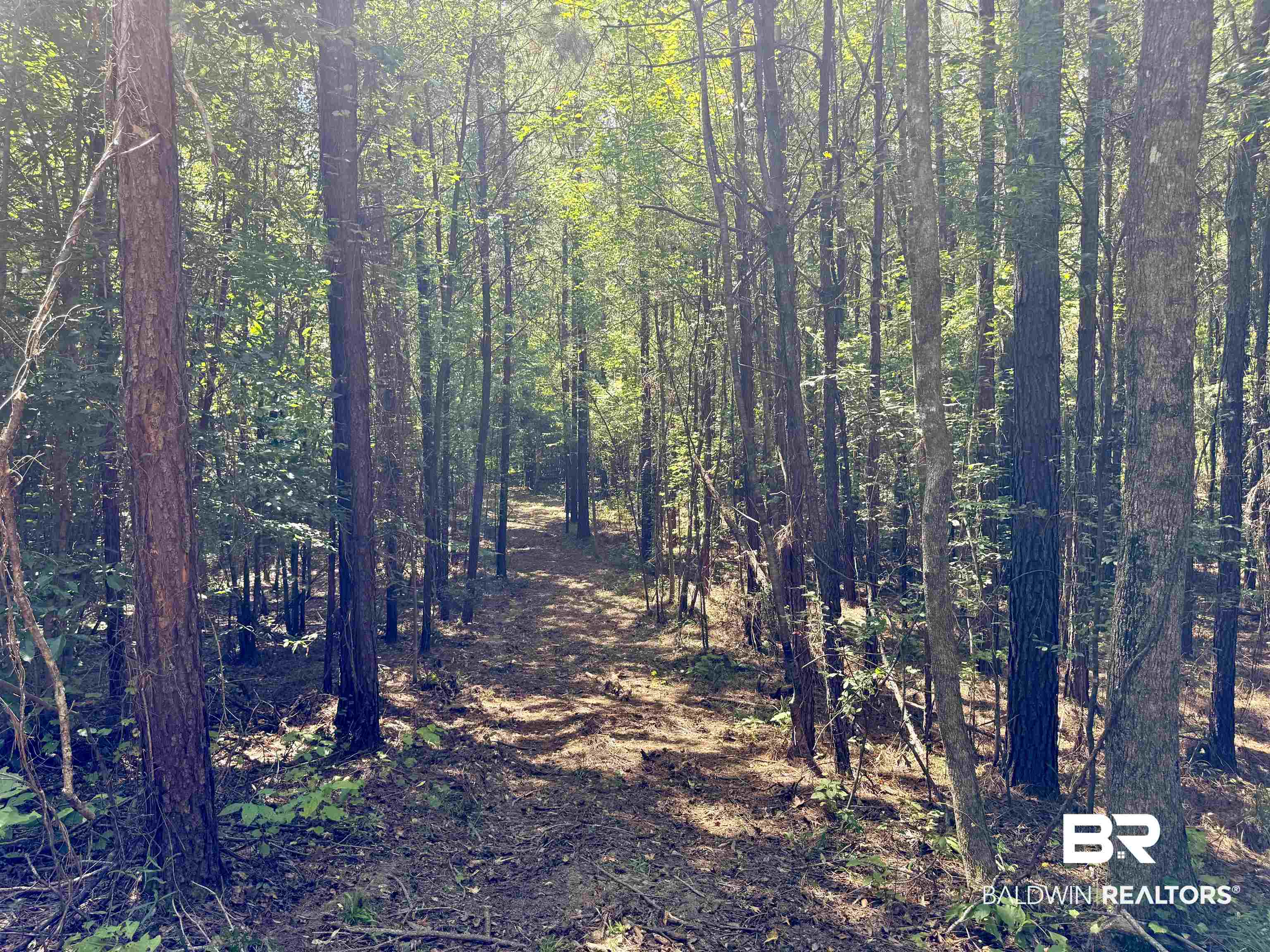 13850 Tallahatta Springs Road Thomasville, AL 36784 - Photo 21 of 27 View of tree filled area