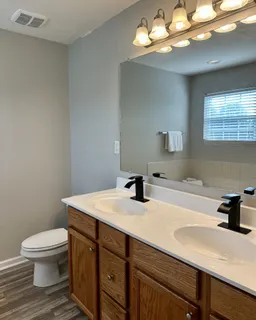 a bathroom with a sink a toilet and mirror