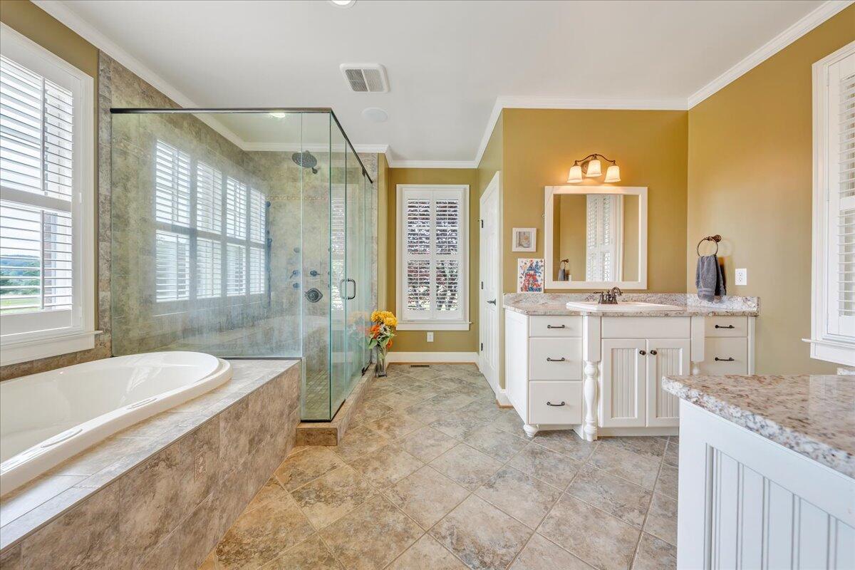 400 Quail Ridge Drive Fincastle, VA 24090 - Photo 33 of 113 a spacious bathroom with a granite countertop tub sink a mirror a shower and vanity